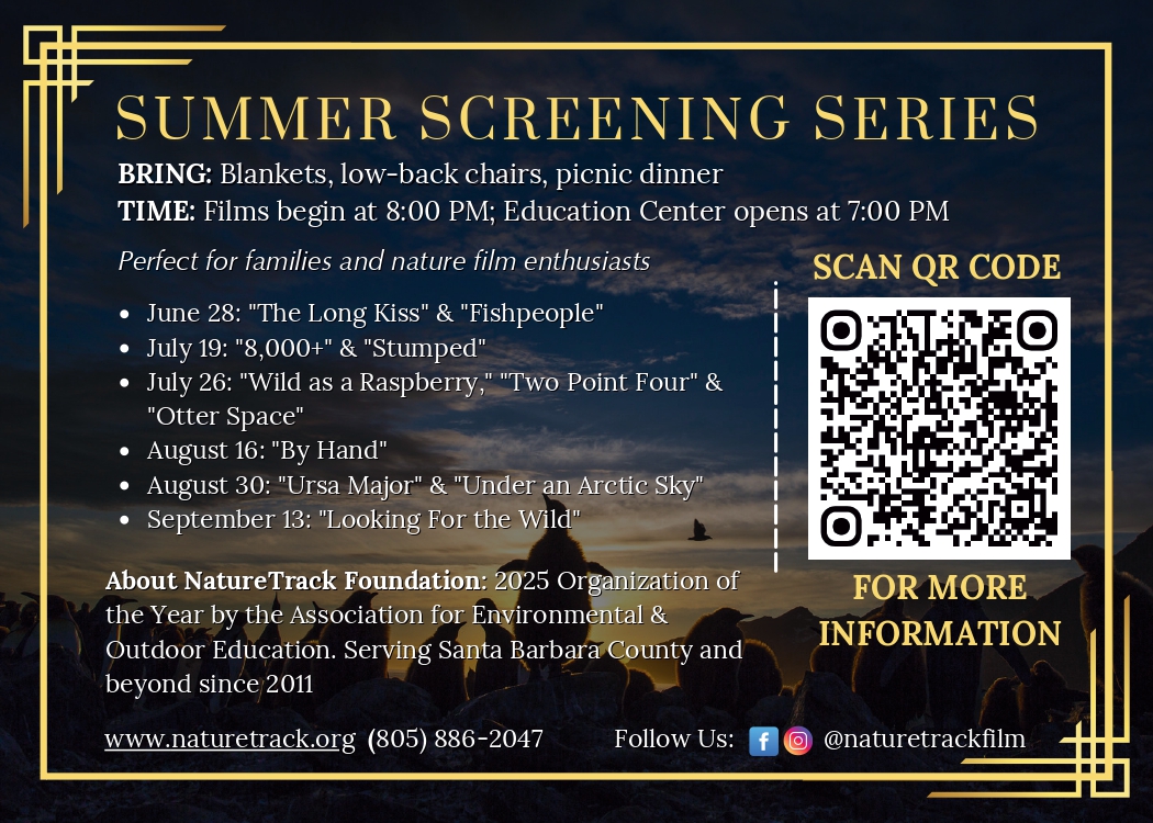 Summer Screening Series Postcard_page-0002